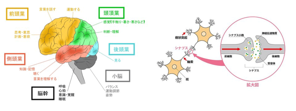 “リスグ”を減らすためには、「早期療育」が必要